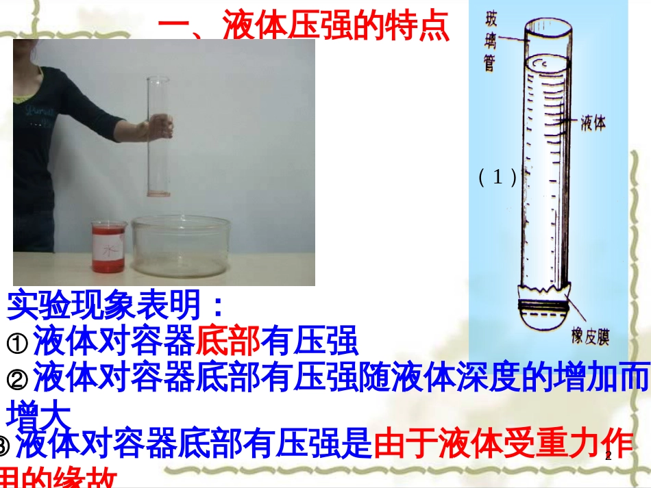 七年级生物下册 第四单元 生物圈中的人 第九章《人的食物来自环境》复习课件 （新版）苏教版 (14)_第2页