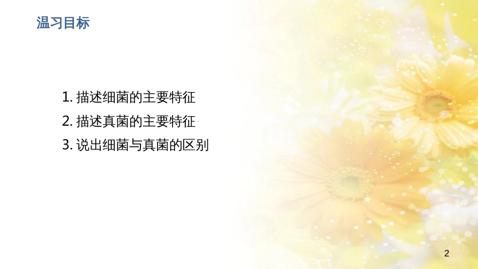 中考生物一轮复习 真菌课件 (26)_第2页