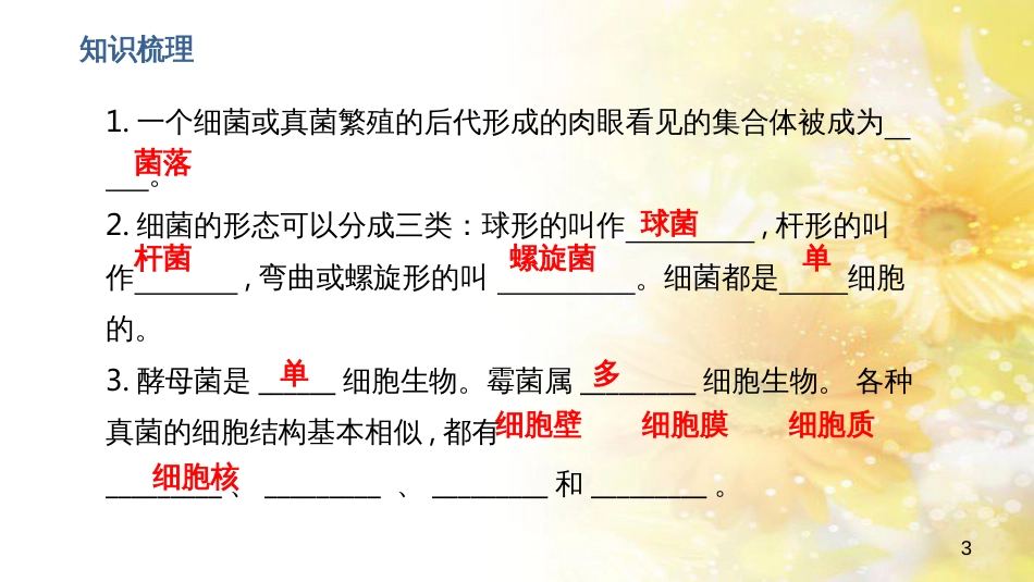 中考生物一轮复习 真菌课件 (26)_第3页
