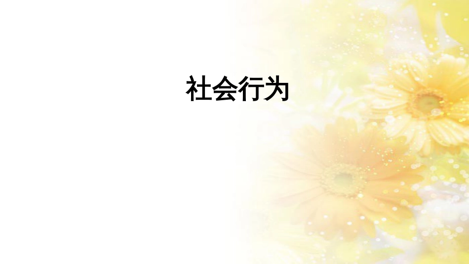 中考生物一轮复习 真菌课件 (41)_第1页