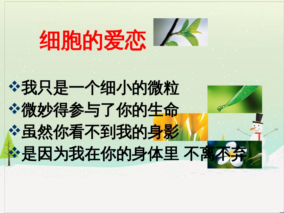 高中地理 第二章 城市与城市化 2.1 城市内部空间结构课件 新人教版必修2 (17)_第1页