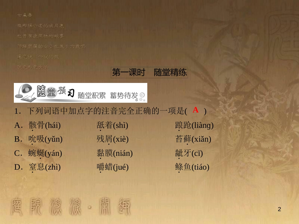 九年级语文下册 第2单元 8 热爱生命（随堂训练）课件 新人教版_第2页