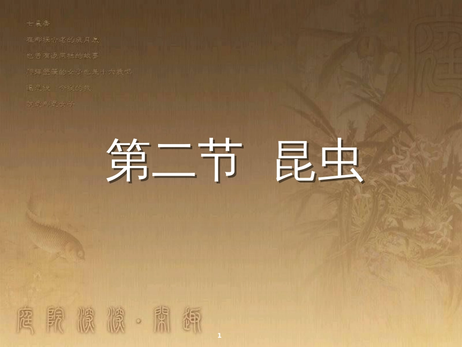 七年级生物下册 第五单元 第12章 空中的生物 第2节 昆虫课件2 （新版）苏科版_第1页