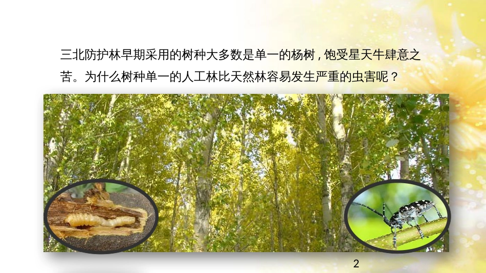中考生物一轮复习 真菌课件 (40)_第2页