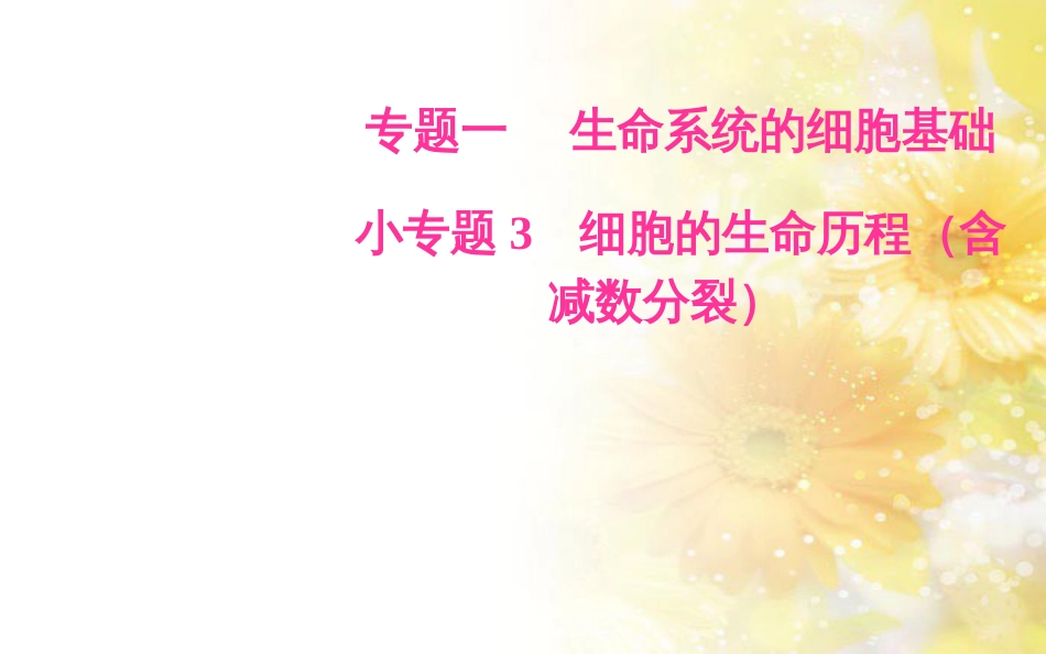 中考数学总复习 专题一 图表信息课件 新人教版 (99)_第1页