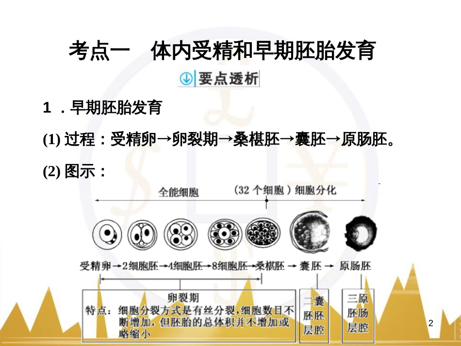 高考语文复习 作文技法点拨 4 议论文论证方法课件 (128)_第2页