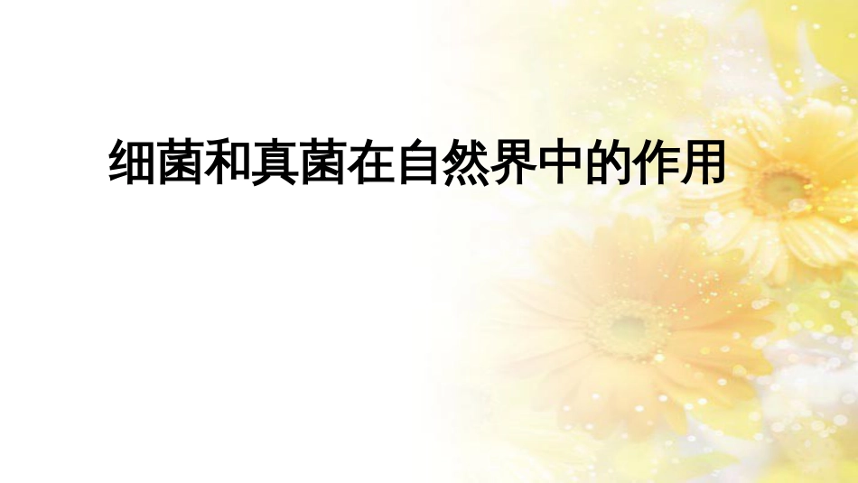 中考生物一轮复习 真菌课件 (43)_第1页