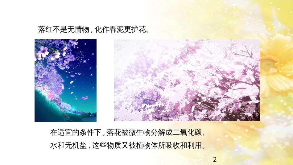 中考生物一轮复习 真菌课件 (43)_第2页