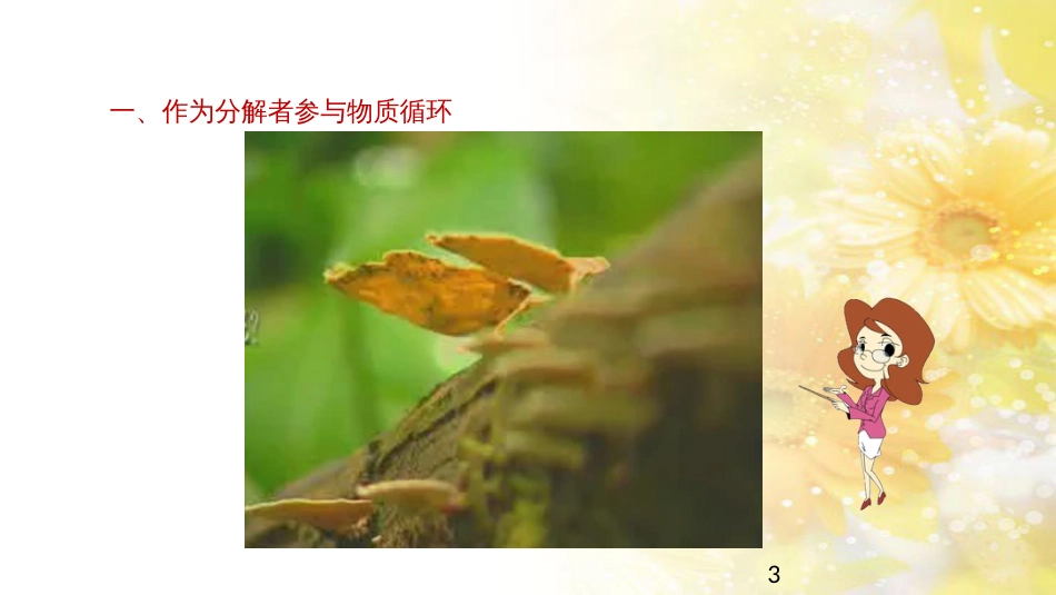 中考生物一轮复习 真菌课件 (43)_第3页