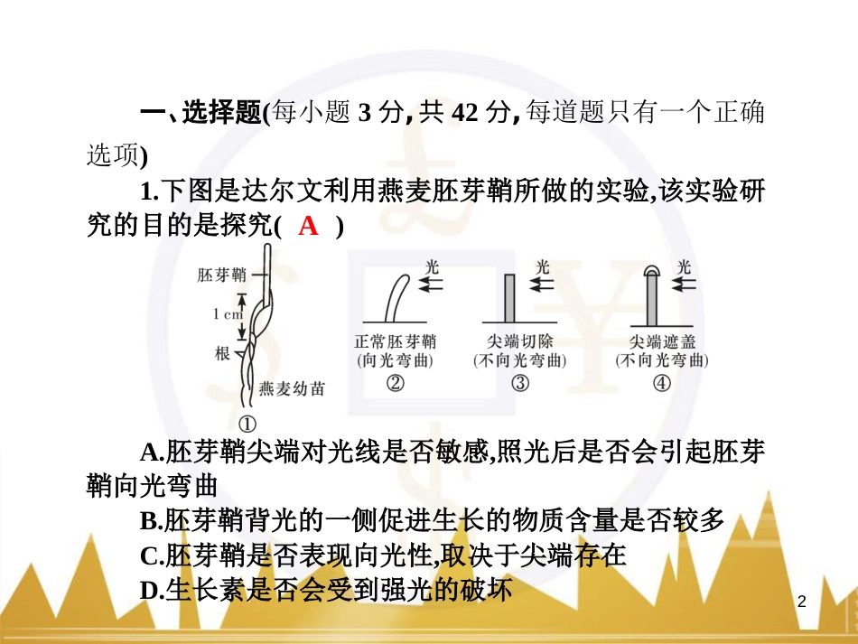 九年级化学上册 绪言 化学使世界变得更加绚丽多彩课件 （新版）新人教版 (21)_第2页