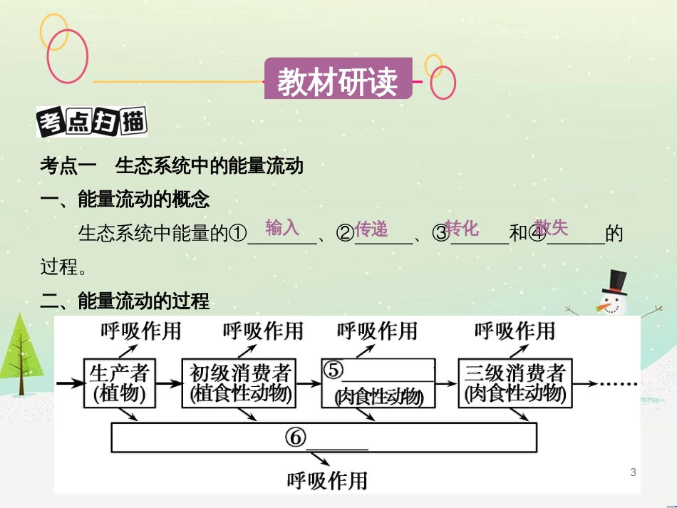 高考生物一轮复习 第八单元 生物的进化（第28课时）生物的进化课件 (7)_第3页