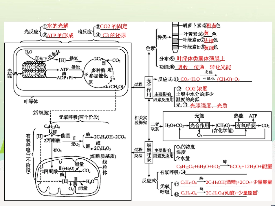 高考生物二轮复习 专题1 细胞的分子组成和结构 1 细胞的分子组成课件 (16)_第3页