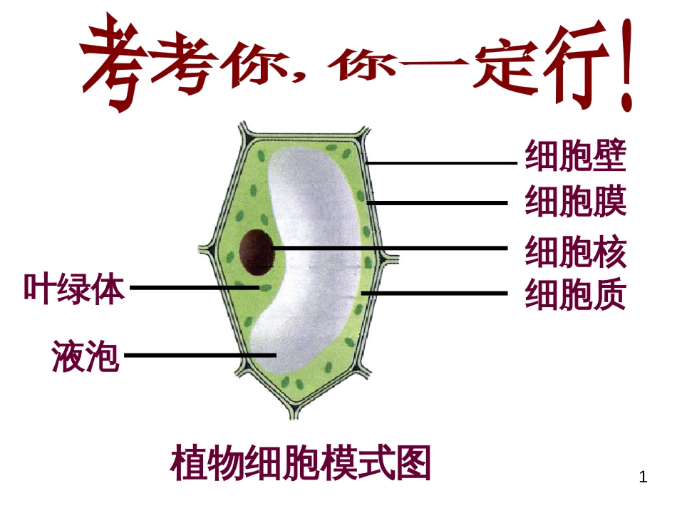 七年级英语上册 周末读写训练 WEEK TWO课件 （新版）人教新目标版 (168)_第1页