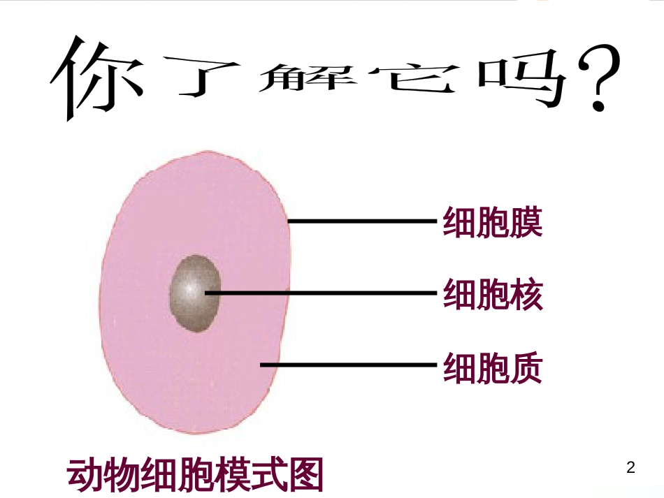 七年级英语上册 周末读写训练 WEEK TWO课件 （新版）人教新目标版 (168)_第2页