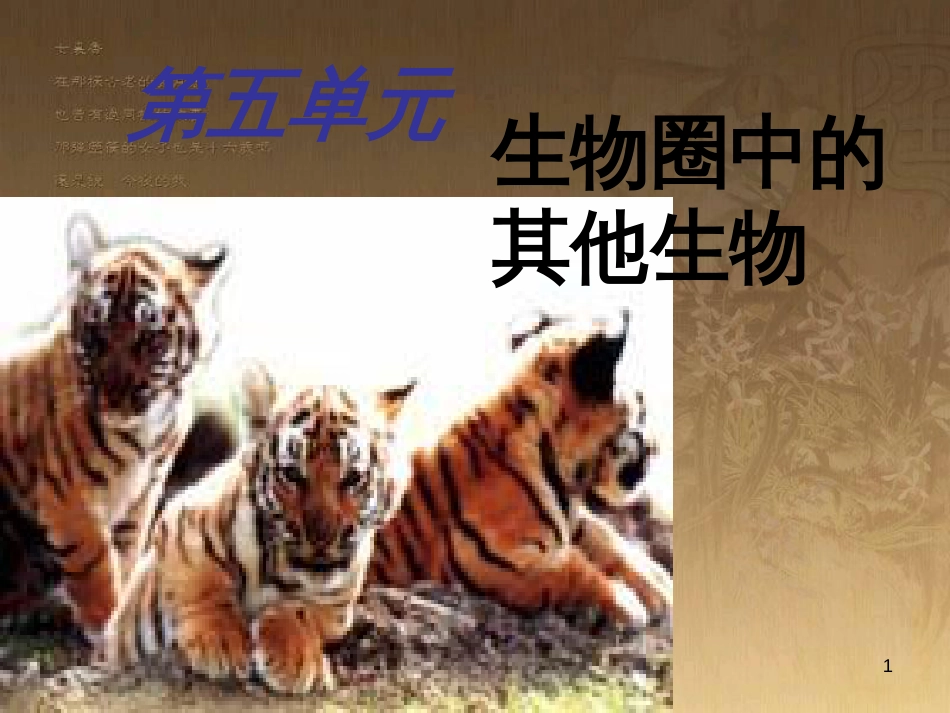 七年级生物下册 第五单元 第10章 水中的生物 第1节 水中的动物课件2 （新版）苏科版_第1页