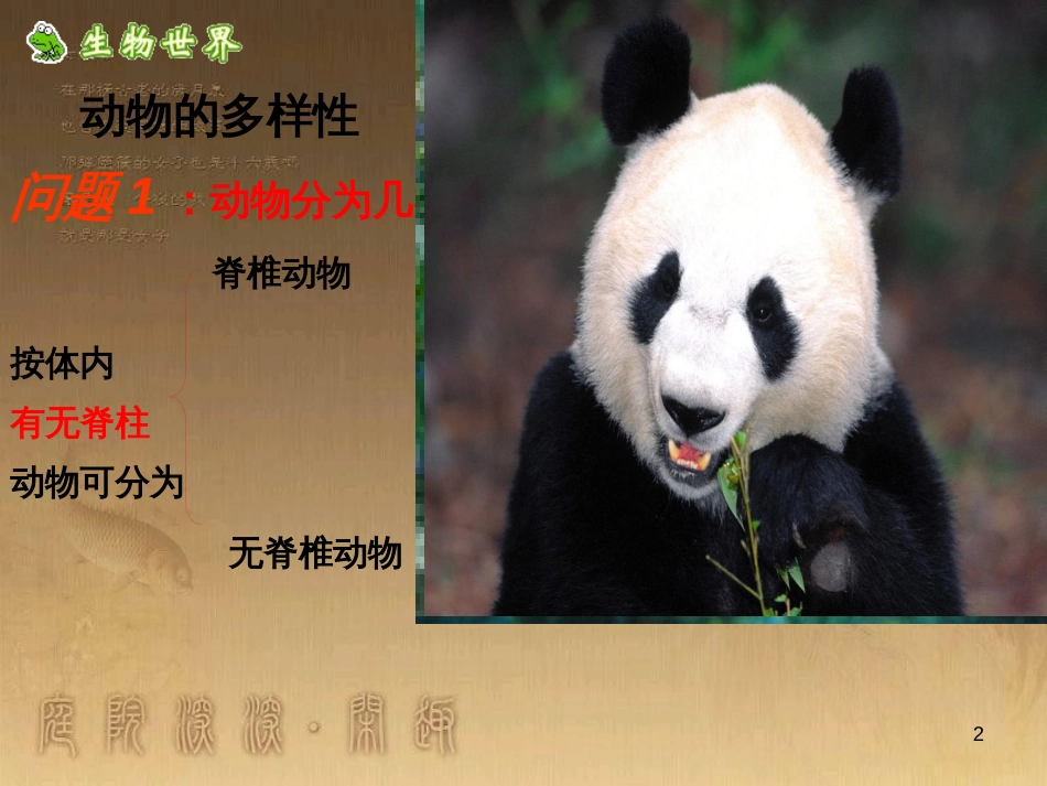 七年级生物下册 第五单元 第10章 水中的生物 第1节 水中的动物课件2 （新版）苏科版_第2页