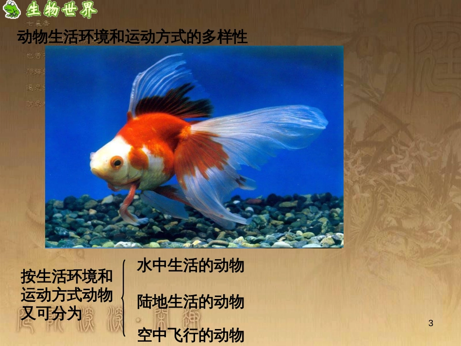 七年级生物下册 第五单元 第10章 水中的生物 第1节 水中的动物课件2 （新版）苏科版_第3页