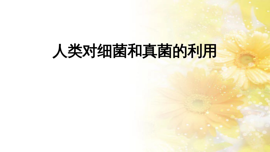 中考生物一轮复习 真菌课件 (39)_第1页