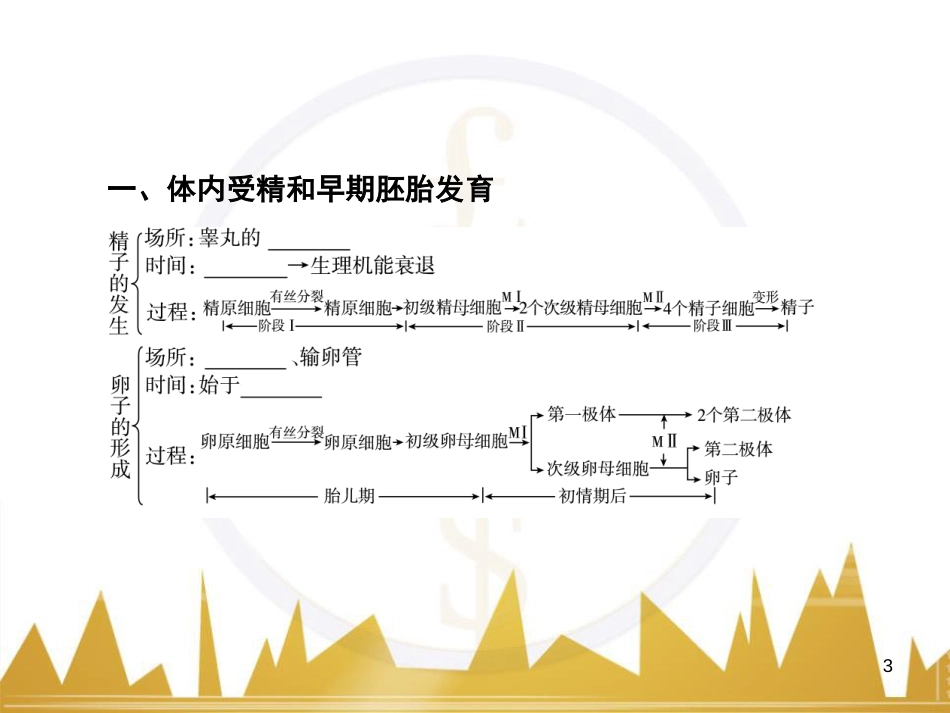 高中语文 异彩纷呈 千姿百态 传记体类举隅 启功传奇课件 苏教版选修《传记选读》 (76)_第3页