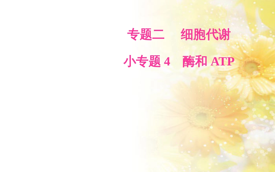 中考数学总复习 专题一 图表信息课件 新人教版 (101)_第1页