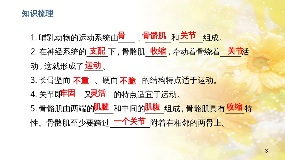 中考生物一轮复习 真菌课件 (24)_第3页