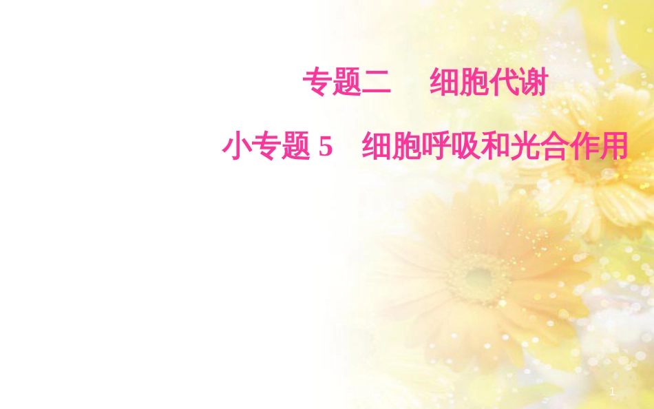 中考数学总复习 专题一 图表信息课件 新人教版 (102)_第1页