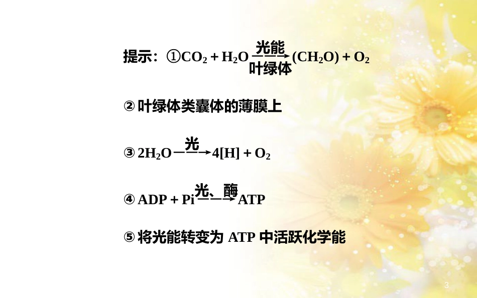 中考数学总复习 专题一 图表信息课件 新人教版 (102)_第3页