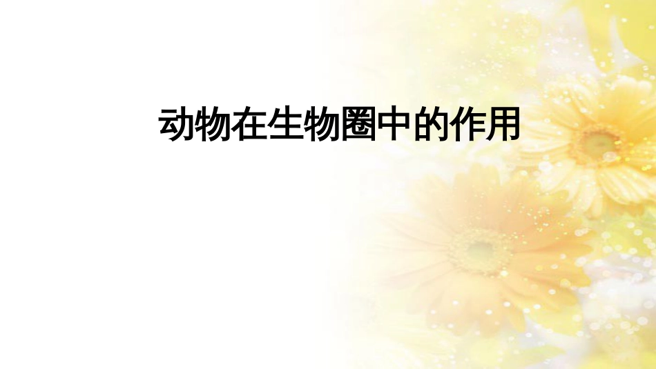 中考生物一轮复习 真菌课件 (37)_第1页