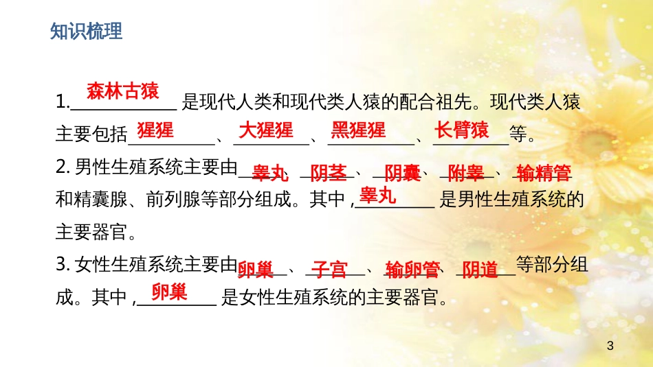 中考生物一轮复习 真菌课件 (14)_第3页