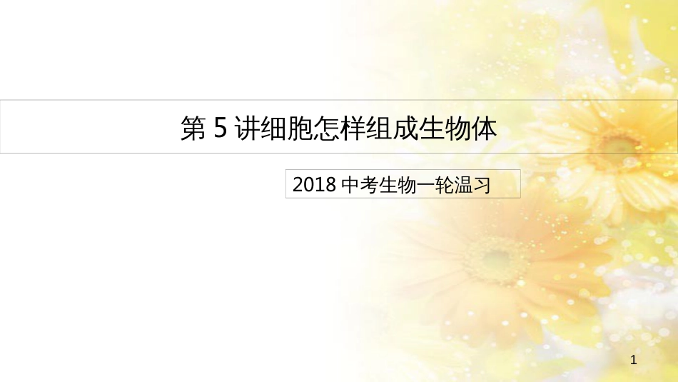中考生物一轮复习 真菌课件 (7)_第1页