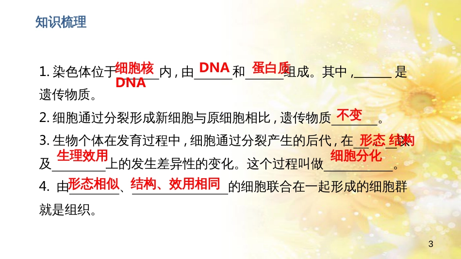 中考生物一轮复习 真菌课件 (7)_第3页