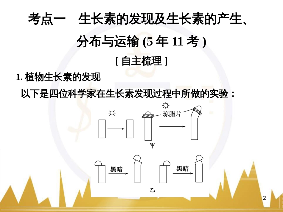 高考语文一轮总复习 第6部分 写作 专题十七 记叙文写作训练（一）记叙文体编写提纲训练课件 (7)_第2页