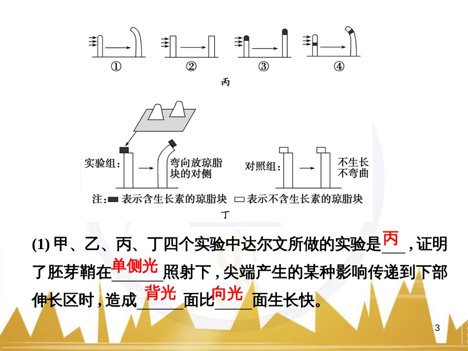 高考语文一轮总复习 第6部分 写作 专题十七 记叙文写作训练（一）记叙文体编写提纲训练课件 (7)_第3页