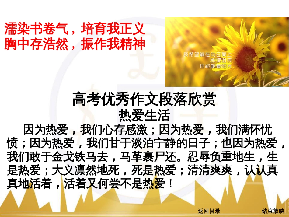高考语文一轮复习 语言文字运用 正确使用成语（一）课件 新人教版 (38)_第3页