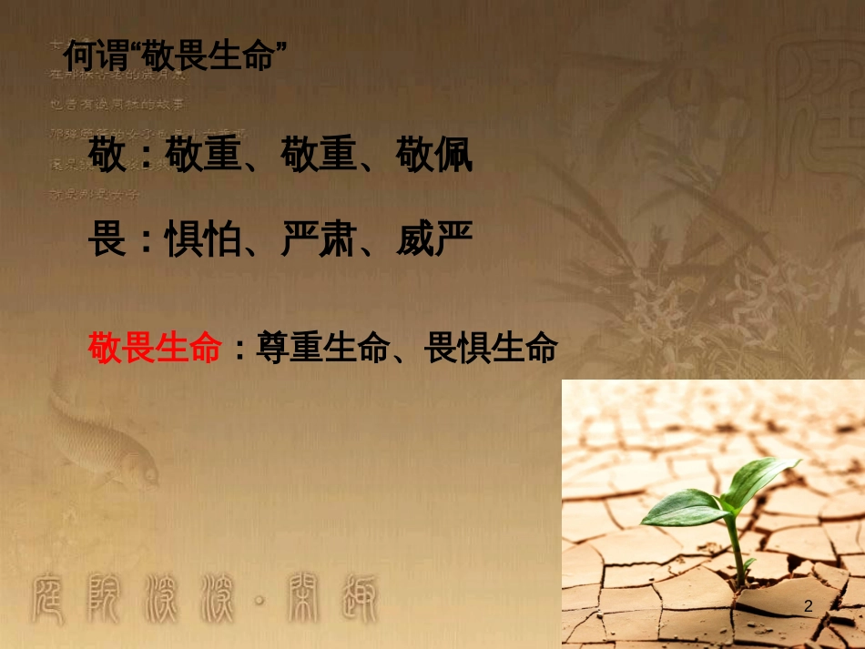 七年级道德与法治上册 第四单元 生命的思考 第八课 探问生命 第2框 敬畏生命课件1 新人教版_第2页