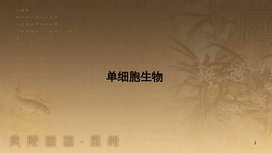 七年级生物上册 第二单元 第二章 第四节《单细胞生物》课件 （新版）新人教版_第1页