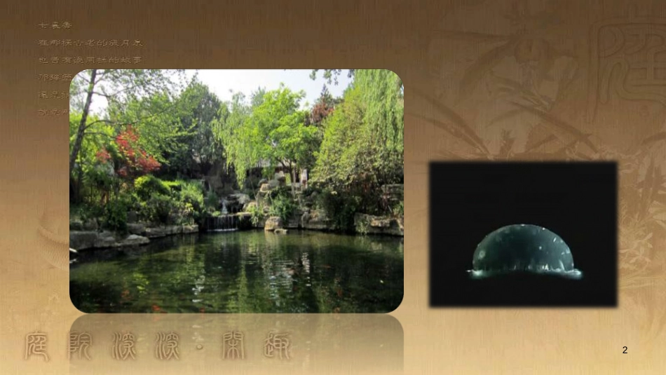 七年级生物上册 第二单元 第二章 第四节《单细胞生物》课件 （新版）新人教版_第2页