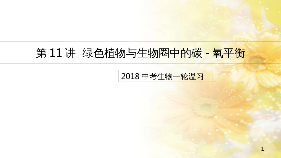 中考生物一轮复习 真菌课件 (13)_第1页