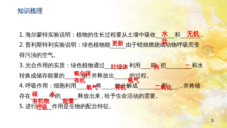 中考生物一轮复习 真菌课件 (13)_第3页
