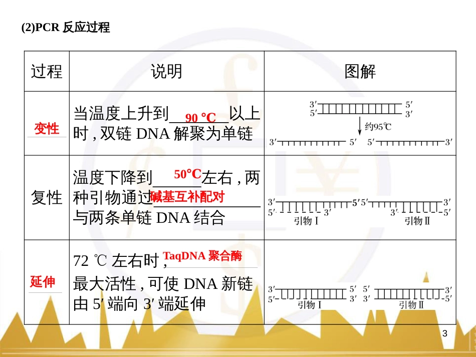 高考语文一轮总复习 第6部分 写作 专题十七 记叙文写作训练（一）记叙文体编写提纲训练课件 (18)_第3页