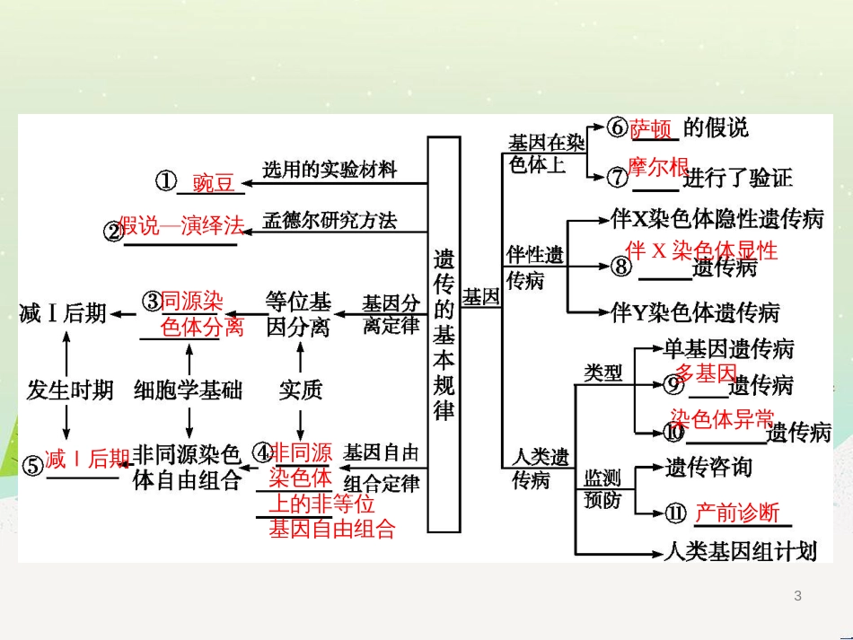 高考生物二轮复习 专题1 细胞的分子组成和结构 1 细胞的分子组成课件 (12)_第3页