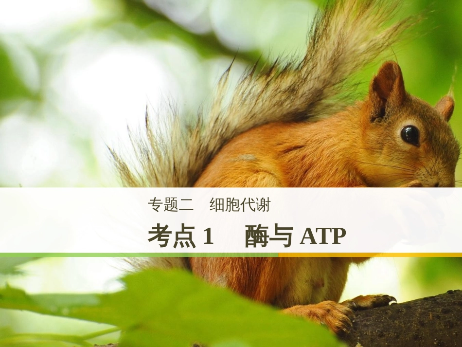 高考地理一轮复习 第1章 宇宙中的地球（含地球和地图）第1节 地球与地球仪课件 湘教版 (50)_第1页