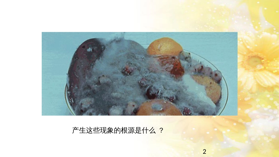 中考生物一轮复习 真菌课件 (1)_第2页