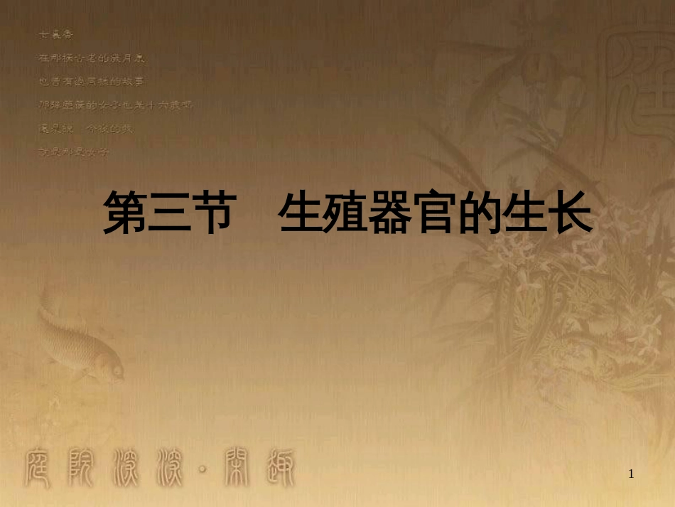 七年级生物上册 第三单元 第6章 绿色开花植物的生活史 第3节 生殖器官的生长课件 （新版）北师大版_第1页