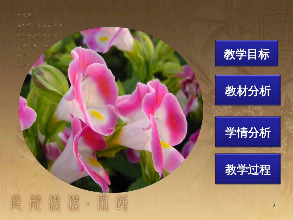 七年级生物上册 第三单元 第6章 绿色开花植物的生活史 第3节 生殖器官的生长课件 （新版）北师大版_第2页