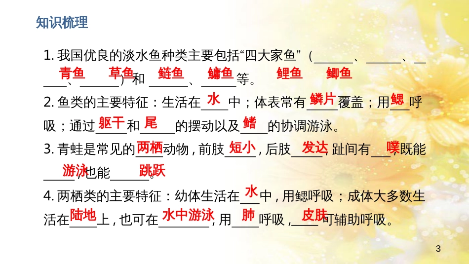 中考生物一轮复习 真菌课件 (23)_第3页