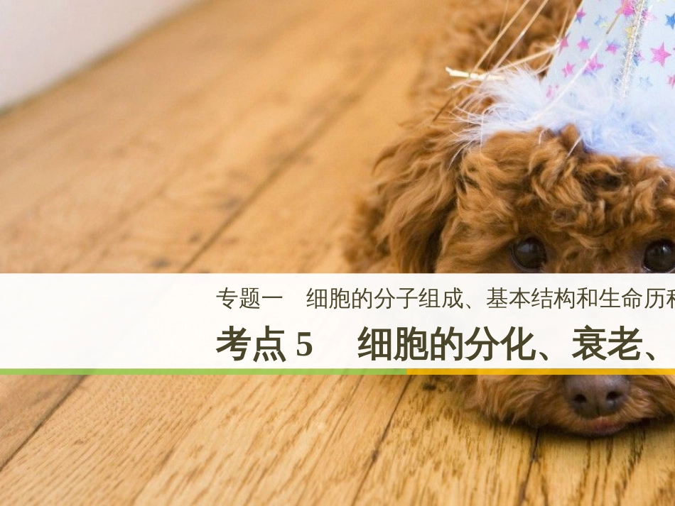 高考地理一轮复习 第1章 宇宙中的地球（含地球和地图）第1节 地球与地球仪课件 湘教版 (4)_第1页