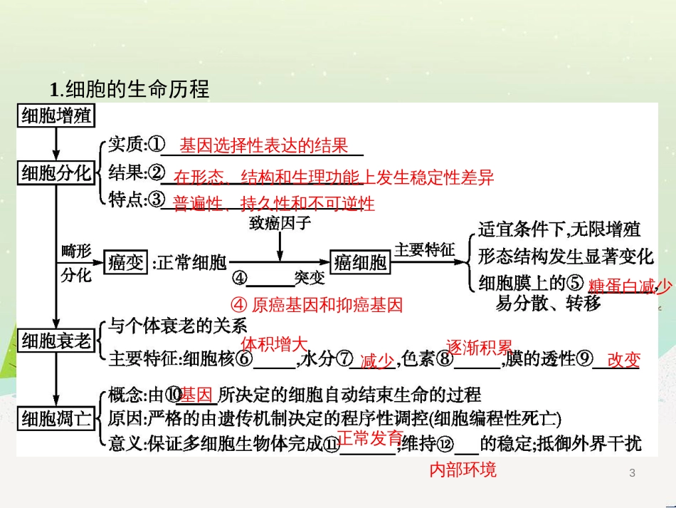 高考生物二轮复习 专题1 细胞的分子组成和结构 1 细胞的分子组成课件 (14)_第3页