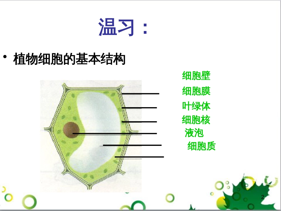 七年级英语上册 周末读写训练 WEEK TWO课件 （新版）人教新目标版 (165)_第2页