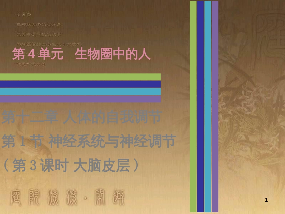 七年级生物下册 12.1 神经系统与神经调节（第3课时）课件 北师大版_第1页